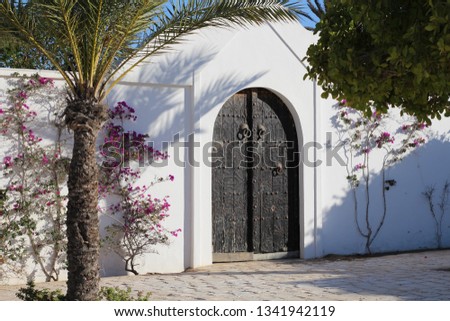 Beautiful heavy metal door. Large double door. Architecture, design. Palm trees and beautiful purple flowers grow here.