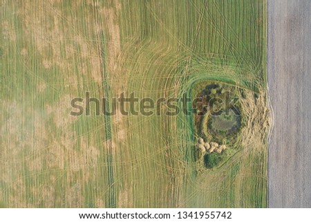 Top view of the plowed and green fields, a pond in the form of a crater. Aerial photography and beautiful abstract landscape
