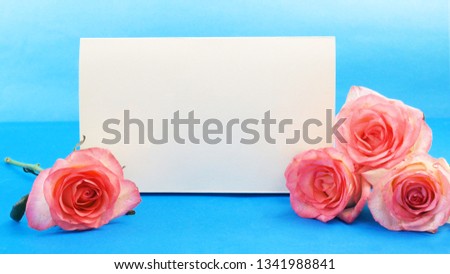 pink roses and white blank on blue background