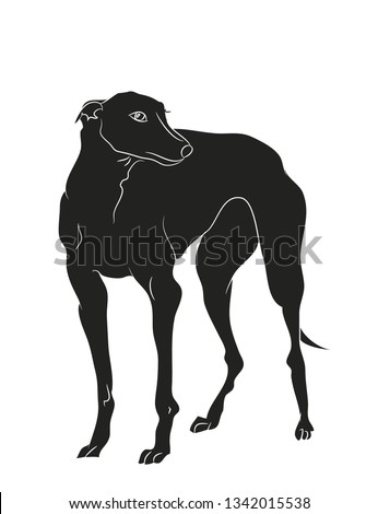 dog stands silhouette, vector, white background, vector