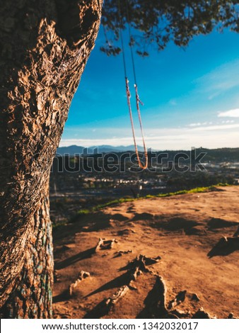 Panorama of Los Angeles from the hill, on a tree hanging homemade swing on a rope overlooking the city