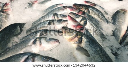 Fish market picture 