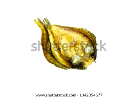 One salty dried fish on white background