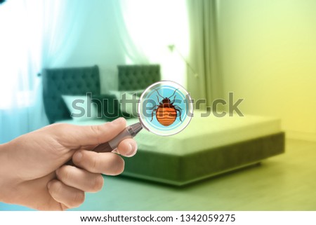 Woman with magnifying glass detecting bed bugs on mattress, closeup 