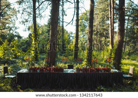 table in the forest