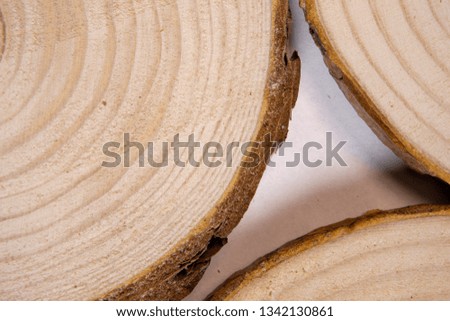 Pine tree trunk cross-section with annual rings. Lumber piece close-up shot.