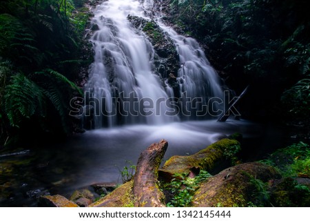 Munyanga waterfall. 1,5h walk from gate in Buhoma. Its in Bwindy Impenetrable forest(National park in Uganda). 