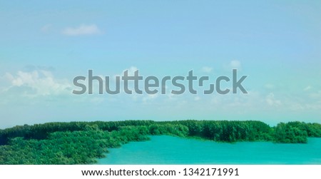 Green forest in the sea with beautiful blue color