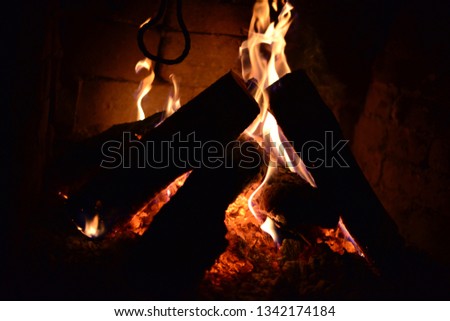 very beautiful fire in the fireplace