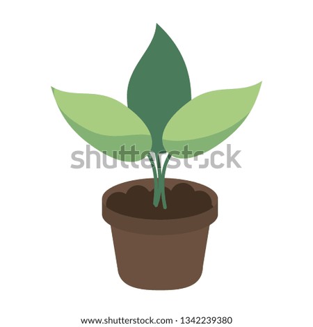Plant in pot cartoon isolated
