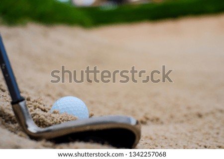 golf ball and golf club on the sand bunker with green field