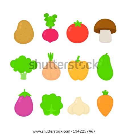 Organic raw vegetable collection set.Vector flat style illustration.Isolated on white background.Carrot, tomato, onion, eggplant, garlic, broccoli, cabbage, pepper, radish vegetable collection concept