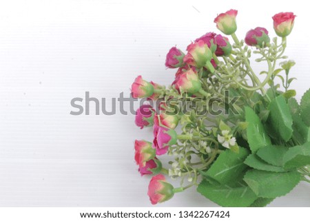 a collection of green leafy red flowers
