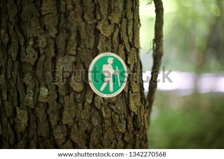 Trail sign on the tree in the mountains, California, September 10, 2015