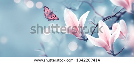 Mysterious spring background with blooming pink magnolia flowers and flying butterfly. Fantasy floral banner.