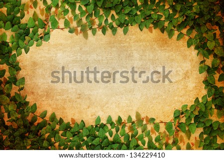 green Fresh leaves frame on old paper vintage