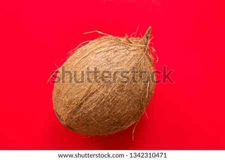 One whole coconut on a red background. Top view. Copy of space. Design of pop art, creative summer concepts, coconut lay in a minimalist style.