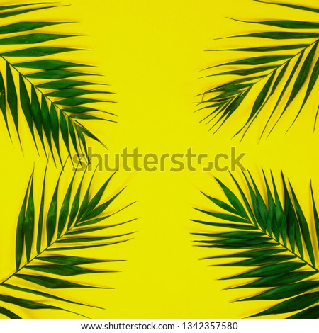Flat lay traveler accessories with palm leafs . Top view travel or vacation concept. Summer background.