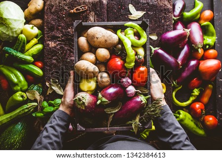 Organic vegetables. Farmers hands with freshly harvested vegetables. Fresh organic zucchini. Overhead shop Royalty-Free Stock Photo #1342384613