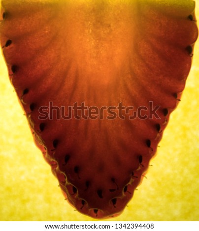 Slice of strawberry backlighted isolated. Background concept.