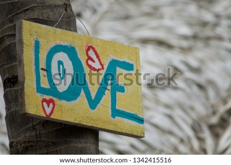 Hand painted love sign on a palm tree in Sayulita Mexico.  