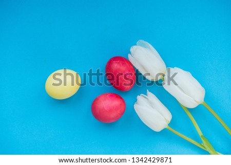 Three white flowers (tulips) with colorful Easter eggs. Church Christian holiday. Easter background. View from above