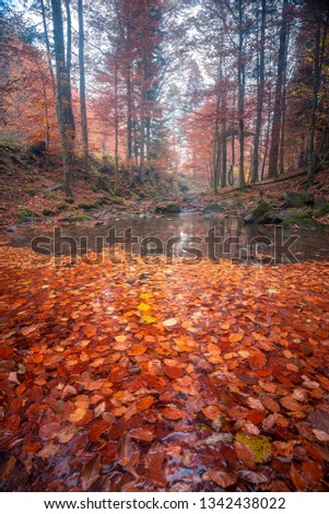 Bieszczady autumn in Poland