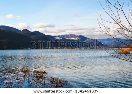 Nature landscape, overlooking the lake, rock and forest near Pangarati in Carpathians, Romania. Flock of swans on the water surface.
