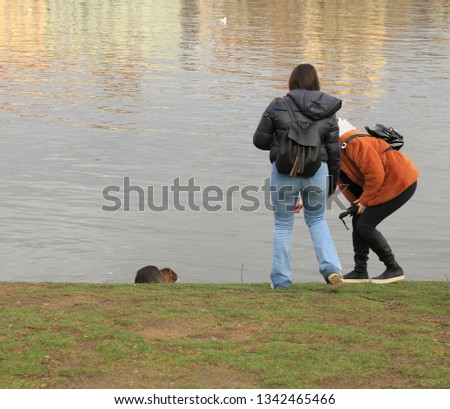 Children feed water rat. People take pictures of nutria crawling out of the water. water rat goes to people.