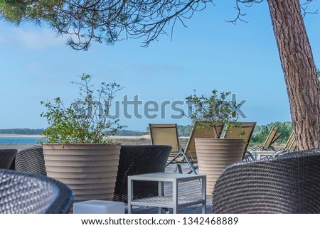Beach holidays concept: wicker chairs, plants on the terrace in front of the sea on sunny day