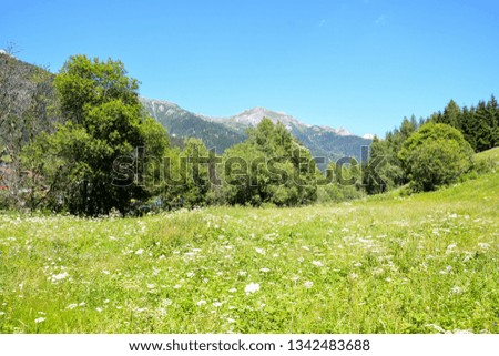Photo picture Panorama view of Alps peaks background