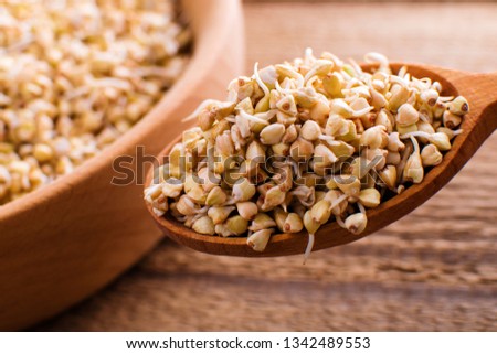 sprouts green buckwheat on wooden table. Raw healthy food background