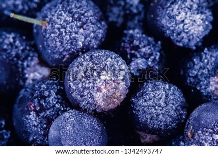 Frozen berry background food and blueberry delicious dessert in summer.