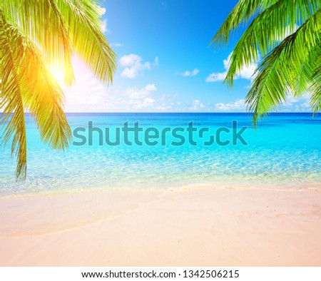 Coconut palm trees against blue sky and beautiful beach in Punta Cana, Dominican Republic. Vacation holidays background wallpaper. View of nice tropical beach. Royalty-Free Stock Photo #1342506215