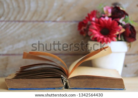 Close-up of old books open flower pot as background selective focus and shallow depth of field
