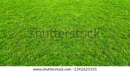 Landscape of grass field in green public park use as natural background or backdrop. Green grass texture from a field. Stadium grass landscape background.