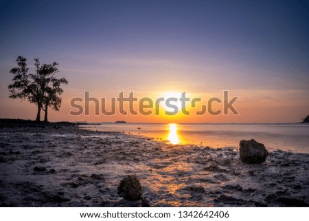 amazing beach during the sunset in the summer