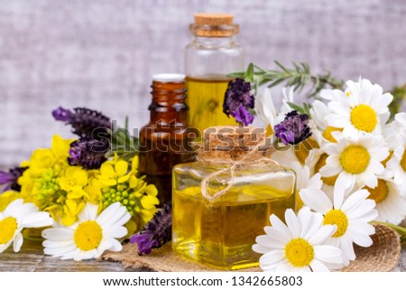Essential oil in glass bottle with fresh chamomile flowers and variete herbal, beauty treatment. 