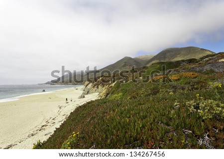Coast of Big Sur with rocks and vegetation. California. USA.