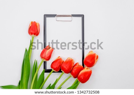 Photo of pencils, paper clips, stapler and notepad on abstract background with copy space. Creative flat lay photo of workspace desk with  tulips. Labor day, woman day 8 march, office worker day