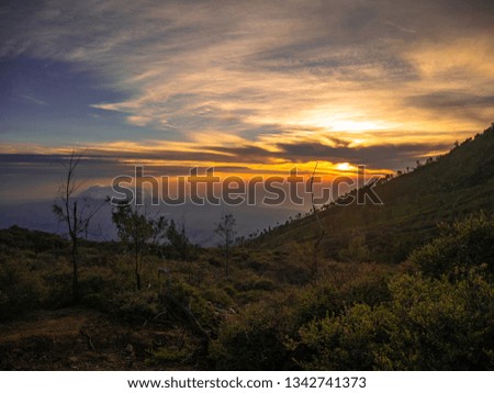 Sunrise on the mountain hill. Full of shrubs and tree. With beautiful blue sky and yellow sunlight. Located In Ijen Crater Area, Banyuwangi, Indonesia