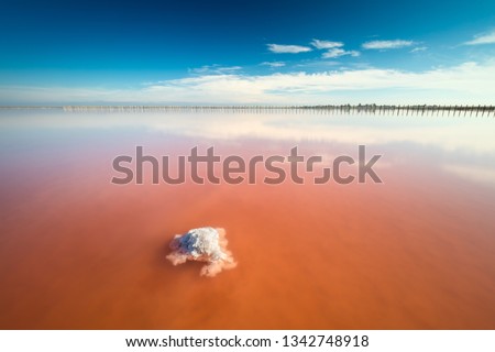 Real amazing pink color salt lake with salt stone and deep blue sky, minimalistic landscape, Ukraine, Europe Royalty-Free Stock Photo #1342748918