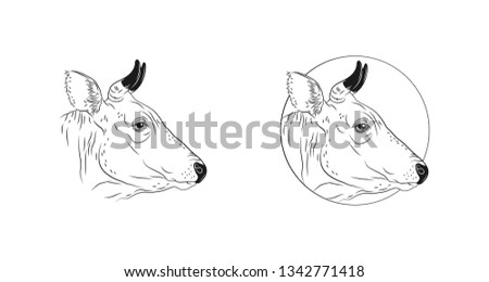Cow calf bull’s head isolated on white background. Cattle logo. Butchery sign. Beef, farm symbol. Poultry. Black and white emblem, symbol, silhouette. Stamp. Vector stencil illustration. Sketch. 