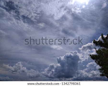 clouds are blurred background with the trees in the day - image