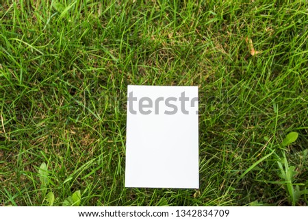 Mock up card, post card or advertising leaflet of standard A5 size on the background of green spring grass
