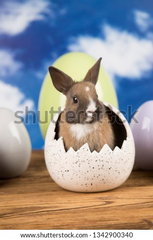 Easter rabbit in a shell of eggs. Pastel eggs.
