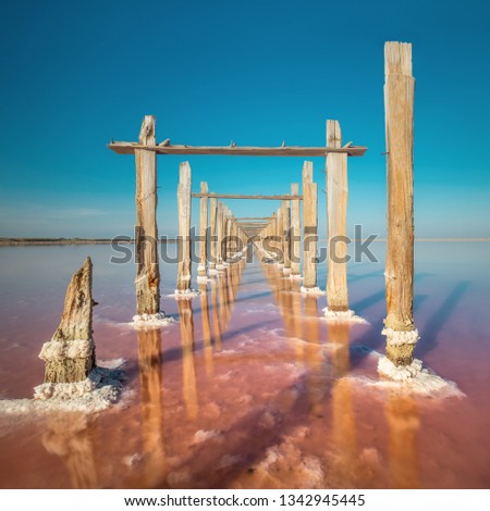 Amazing minimalistic landscape if real pink salt lake and natural salt, big size for big modern print Royalty-Free Stock Photo #1342945445