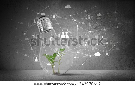 Lightbulb with green plant inside placed against sketched social network system on grey wall. 3D rendering.