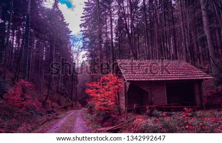 red forest with house 