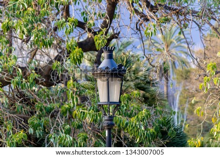 antique lamp post in the park